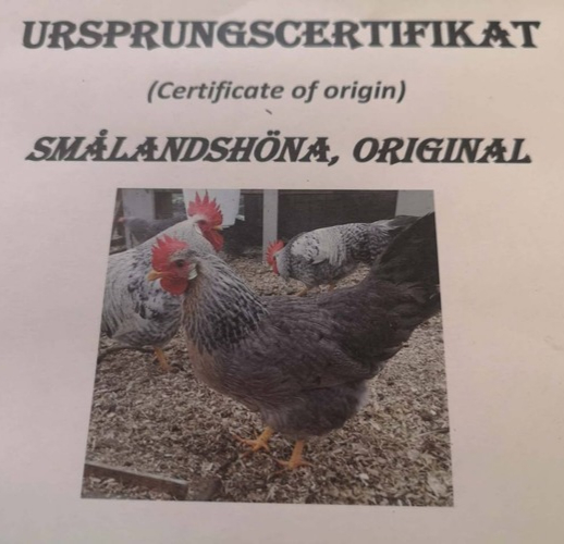 Ursprungscertifikat